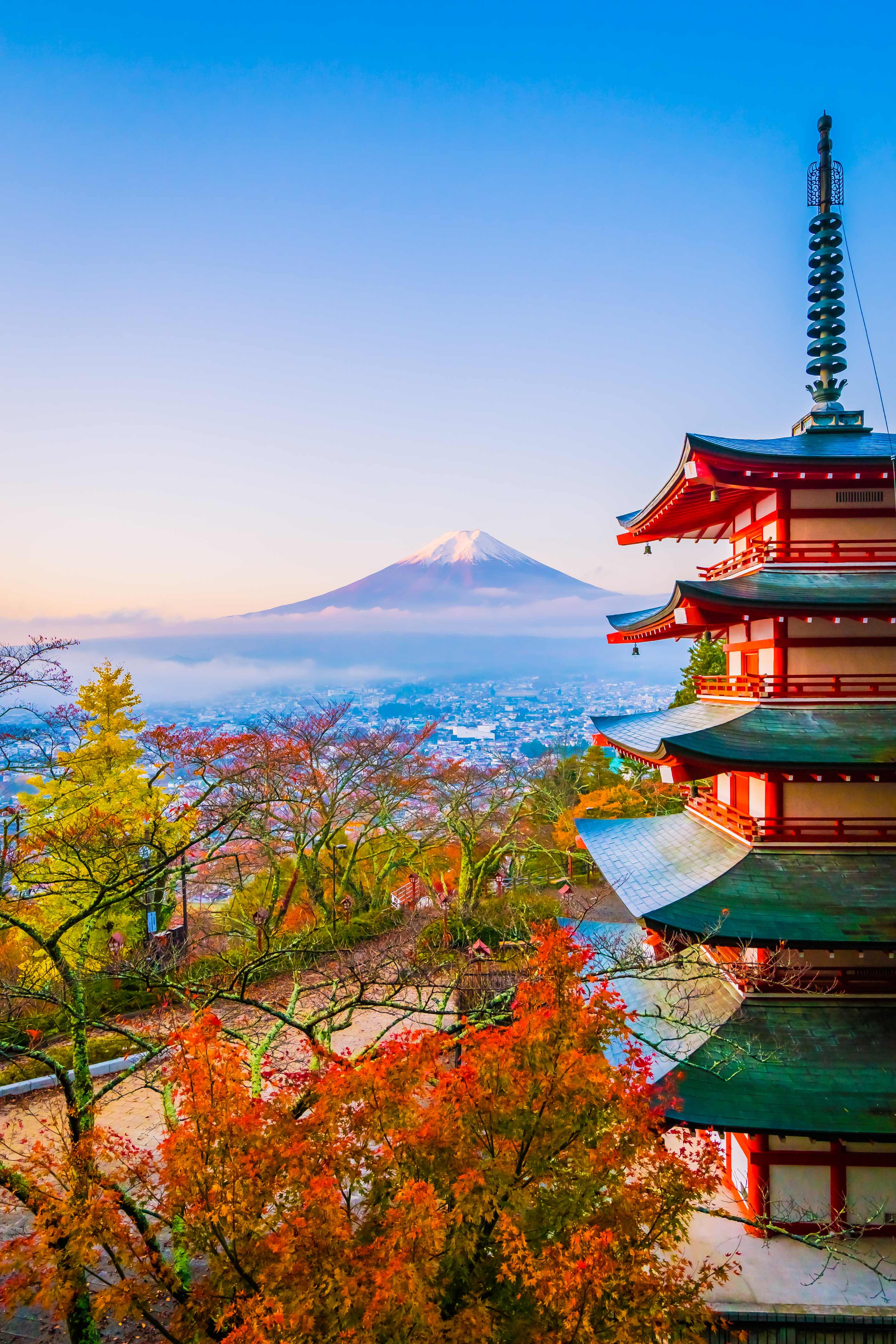 Mount Fuji with cherry blossoms